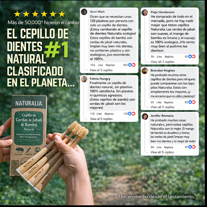 Cepillo de dientes de Bambú y Cerdas de Jabalí Naturalia (paquete de 4ud)