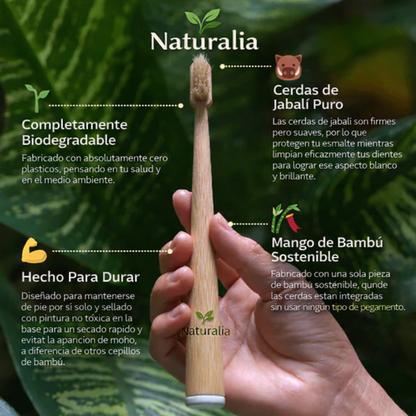 Cepillo de dientes de Bambú y Cerdas de Jabalí Naturalia (paquete de 4ud)