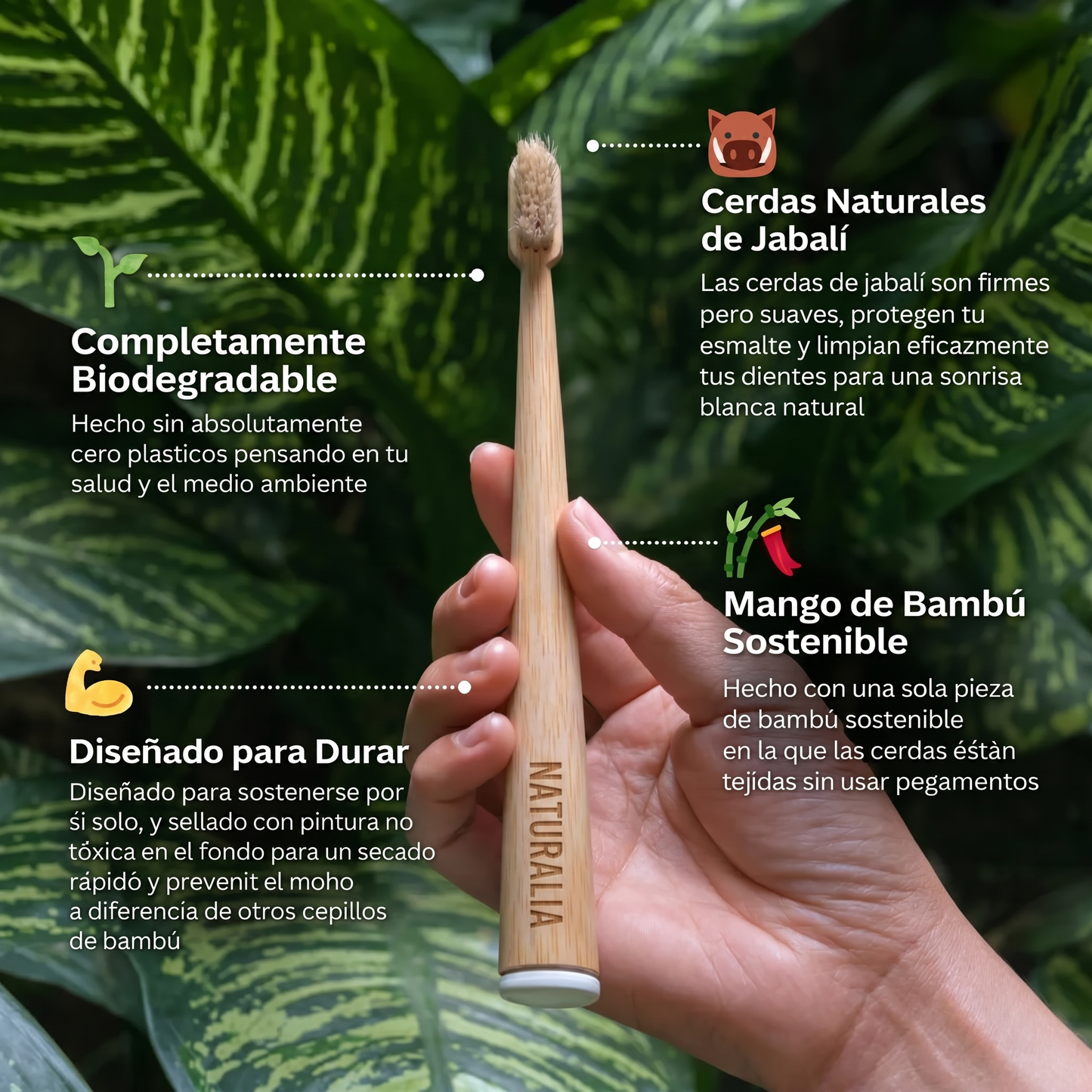 Cepillo de dientes de Bambú y Cerdas de Jabalí Naturalia (paquete de 4ud)